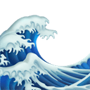 🌊